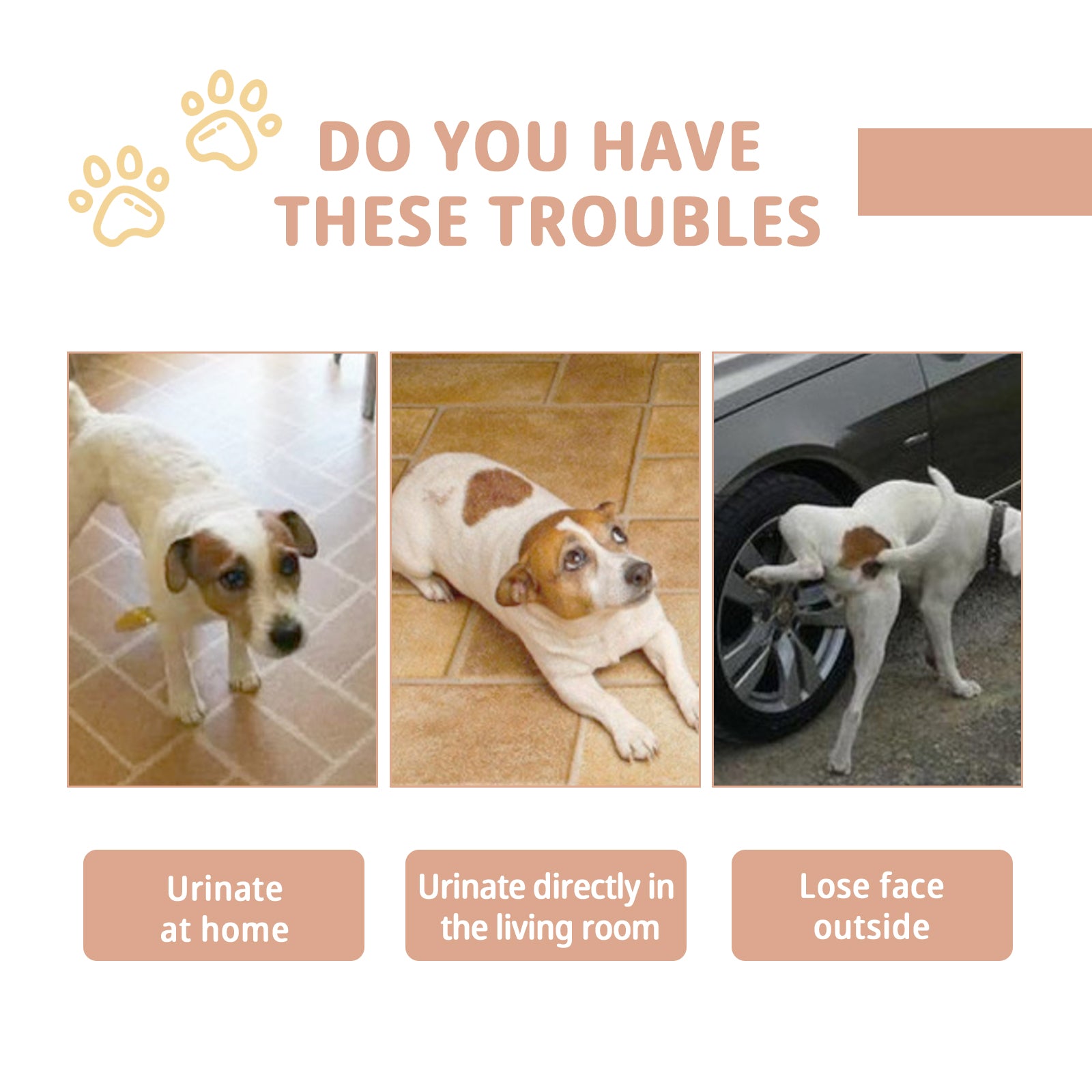 Jaysuing Pet Defecation Inducer, Pet Spot Training Toilet Induction Pet Toilet Inducer