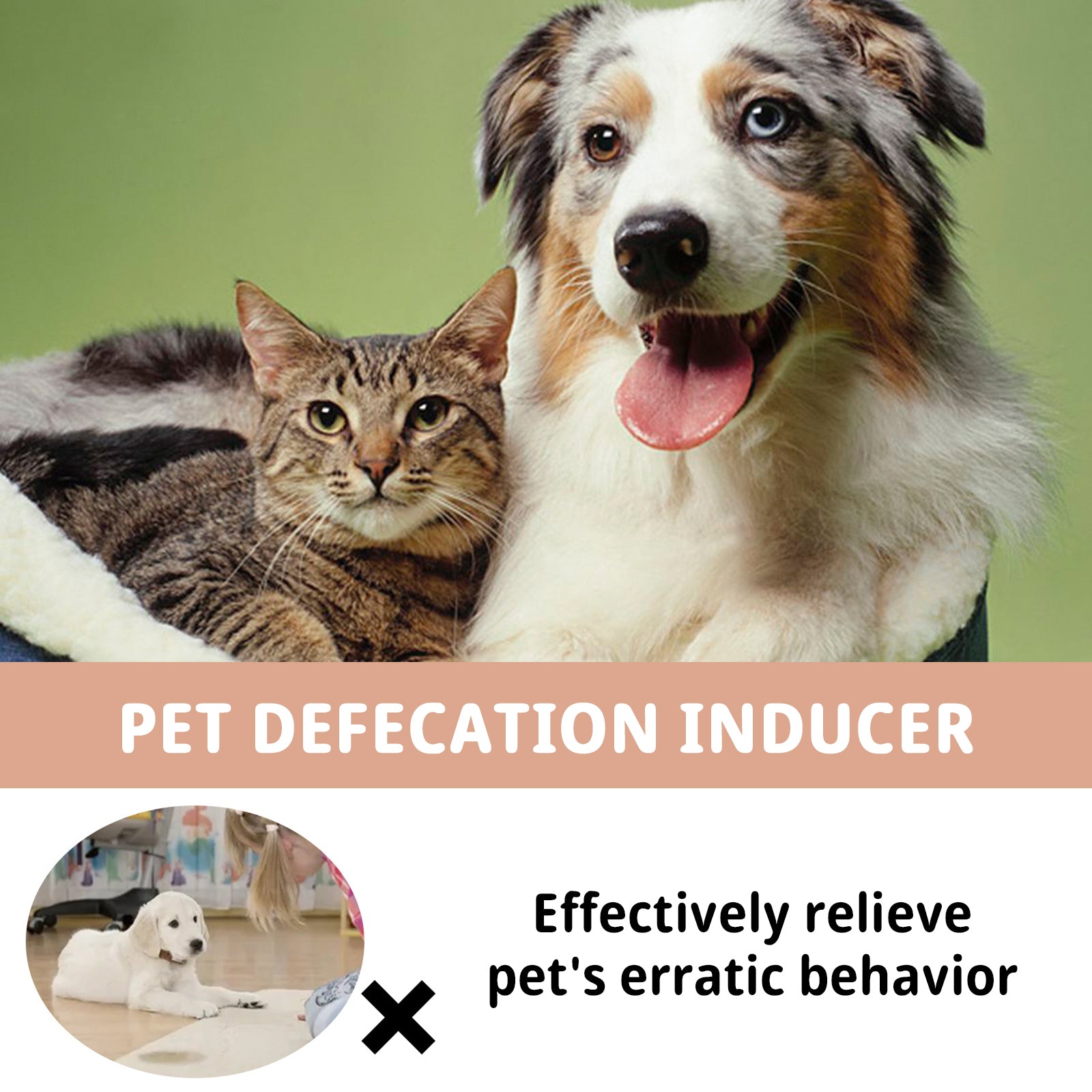 Jaysuing Pet Defecation Inducer, Pet Spot Training Toilet Induction Pet Toilet Inducer